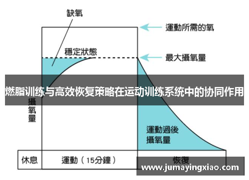 燃脂训练与高效恢复策略在运动训练系统中的协同作用